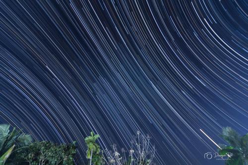 Star-Trail-2